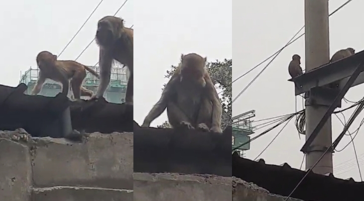 এভাবেই ওরা টিকে আছে ঢাকা শহরে