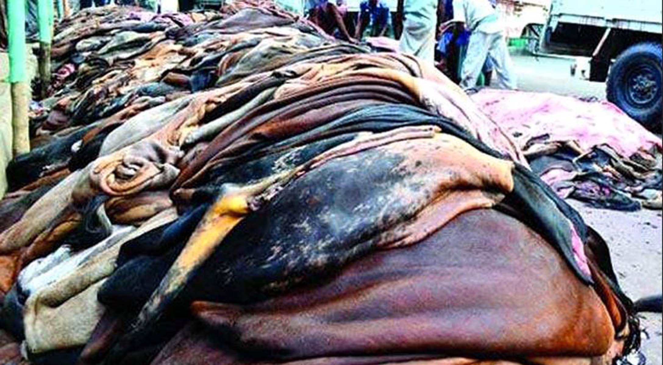 প্রয়োজনে কাঁচা চামড়া রফতানির অনুমতি দেবে সরকার : বাণিজ্যমন্ত্রী