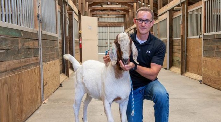 মাংসের মান বাড়াতে পশুদের জিন বদল