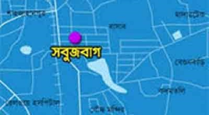 সবুজবাগে গৃহবধূকে গলাকেটে হত্যা, চোর আটক