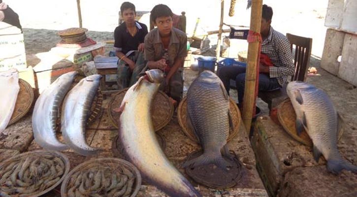 শেরপুরে জমে উঠেছে দুইশ বছরের ঐতিহ্যবাহী মাছের মেলা