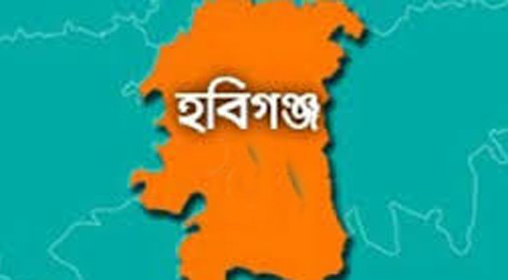 চুনারুঘাটে ভাতিজার হামলায় চাচা খুন