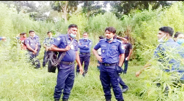 গাঁজা চাষে ব্যবহৃত হত  ১৫ কাঠা জমি