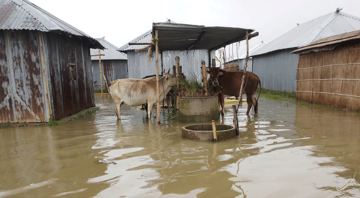 কুড়িগ্রামে বন্যা পরিস্থিতির অবনতি : দেড় লক্ষ মানুষ পানিবন্দী