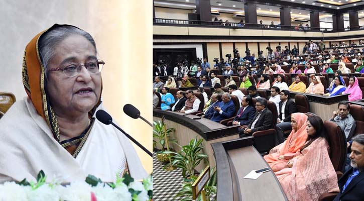 ক্ষুদ্র প্রাণী হলেও মশা খুব শক্তিশালী : প্রধানমন্ত্রী