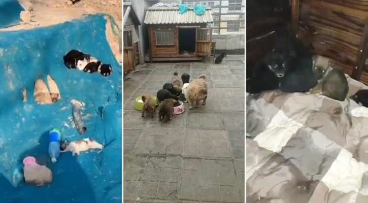 ‘বাইরে ভাইরাস ঘরে অভাব’