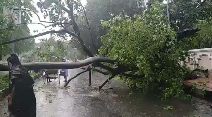 রাজধানীতে ঝড়ের তাণ্ডব 