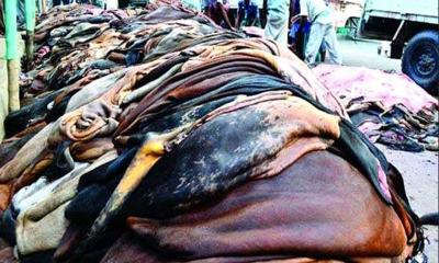 প্রয়োজনে কাঁচা চামড়া রফতানির অনুমতি দেবে সরকার : বাণিজ্যমন্ত্রী