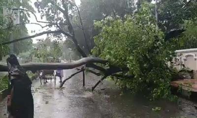 রাজধানীতে ঝড়ের তাণ্ডব 