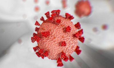 করোনা চিকিৎসায় ন্যাচারোপ্যাথি ও পারমাথেরাপি