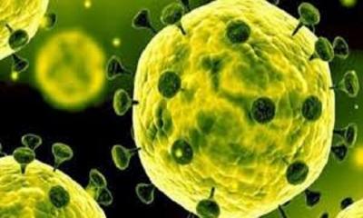 করোনাভাইরাস প্রতিরোধ সম্পর্কে সতর্কতা