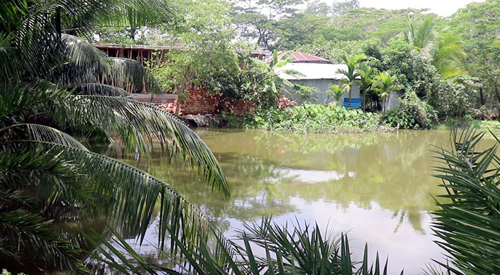 কলাপাড়ায় বসতবাড়ি দখল ও মাছ লুটের অভিযোগ