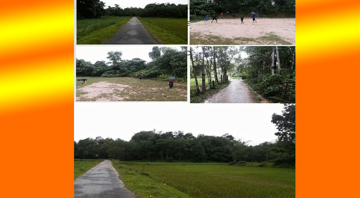 গোয়াসপুর গ্রামীণ সৌন্দর্যের নান্দনিক প্রতিচ্ছবি