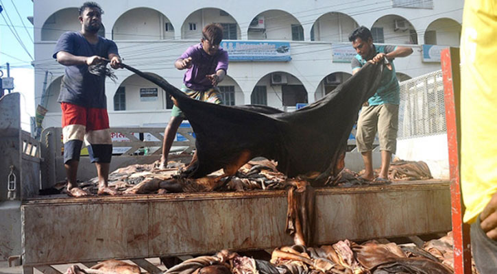 কোরবানির পশুর চামড়ার দাম নির্ধারণ