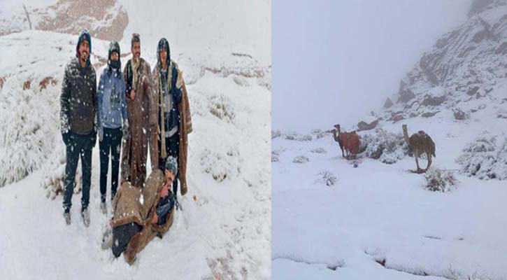 মরুর দেশ সৌদি ঢেকেছে বরফে!