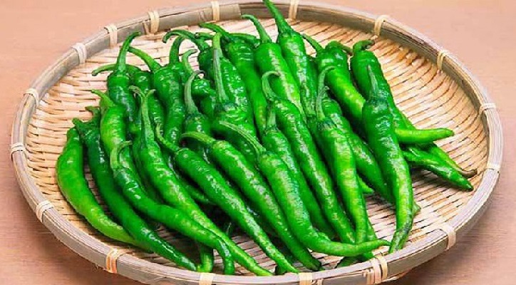 কাঁচা মরিচ পচে যাচ্ছে? জেনেনিন দীর্ঘদিন ভালো রাখার কৌশল