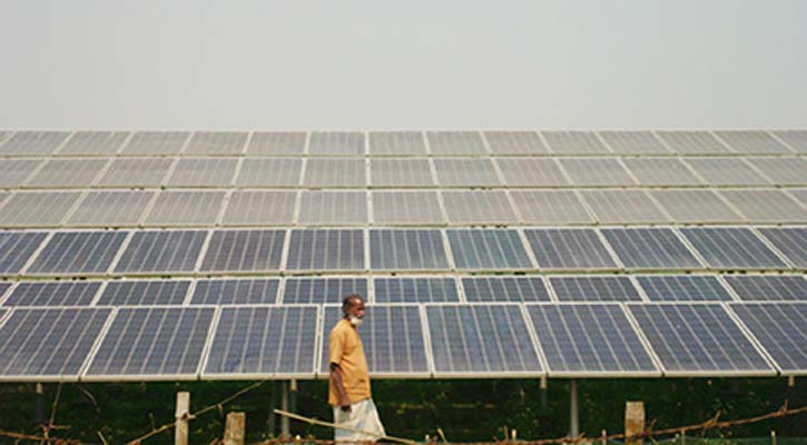 সৌরচালিত পাম্পে সবুজ হয়ে উঠেছে কৃষকের স্বপ্ন