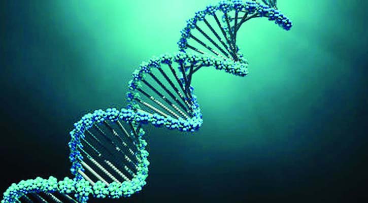 জিনগত ত্রুটি সারাবে প্রাইম এডিটিং