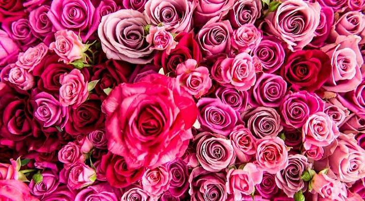 মৃত্যুর পরও ভালেবাসা দিবসে সজাগ যে ভালোবাসা