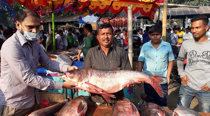 নবান্নের হাট