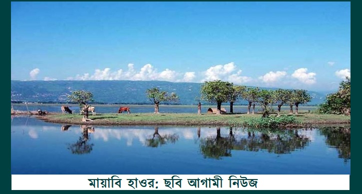 মায়াবি প্রকৃতির চাদরে মোড়ানো হাওর