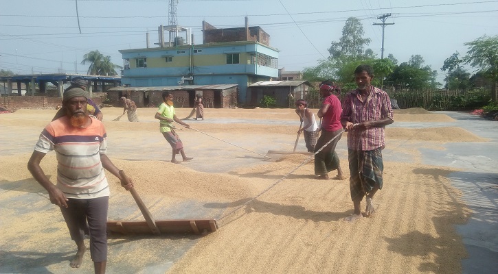 দুপচাঁচিয়ায় কয়েক‍‍`শ শ্রমিকের টানা ৬ মাসের কর্মসংস্থান