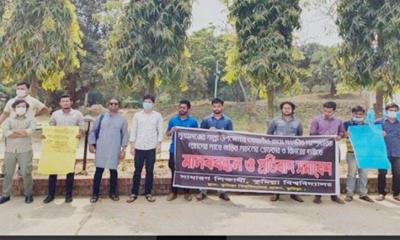 সংখ্যালঘুদের বাড়িতে হামলার প্রতিবাদে কুবিতে মানববন্ধন