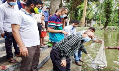 কালিয়ায় পোনামাছ অবমুক্ত