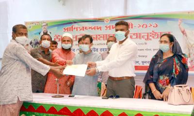 ফুলবাড়ীতে প্রাণীসম্পদ প্রদর্শনী