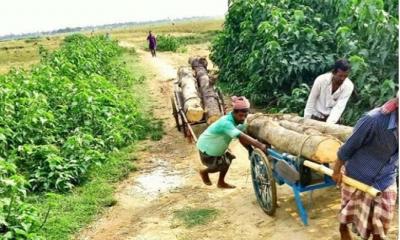 তাহিরপুরে যাতায়াতে ভোগান্তি: রাস্তা পাকা করণের দাবি