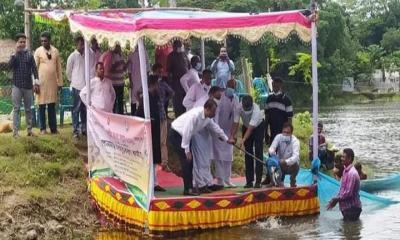 ঝিনাইদহে জাতীয় মৎস্য সপ্তাহ শুরু