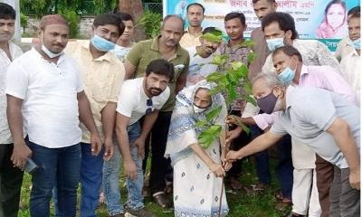 শোকের মাসকে স্মরণীয় করে রাখতে  সৈয়দপুরে বৃক্ষরোপণ কর্মসূচির উদ্বোধন