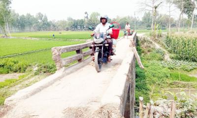 পীরগাছায় ঝুঁকিপূর্ণ সেতু দিয়ে চলাচল করছে হাজারো মানুষ