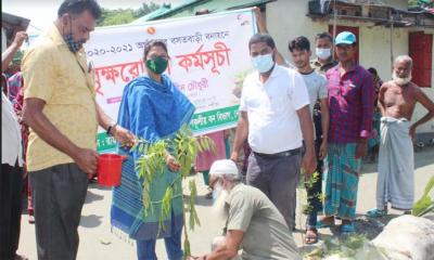 লক্ষ্মীপুরে আশ্রয়ণ কেন্দ্রে বৃক্ষরোপন কর্মসূচি উদ্বোধন