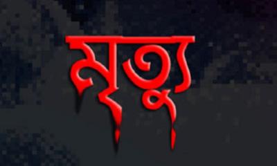 আজমিরীগঞ্জে ভিমরুলের কামড়ে স্বামী-স্ত্রীর মৃত্যু