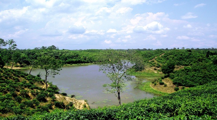 শ্রীমঙ্গলের ভাড়াউড়া হ্রদ তীব্র সুন্দরের এক ভয়ঙ্কর রূপ