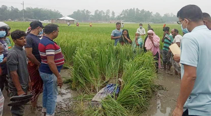 বগুড়ায় ধান ক্ষেতে দলিল লেখকের লাশ