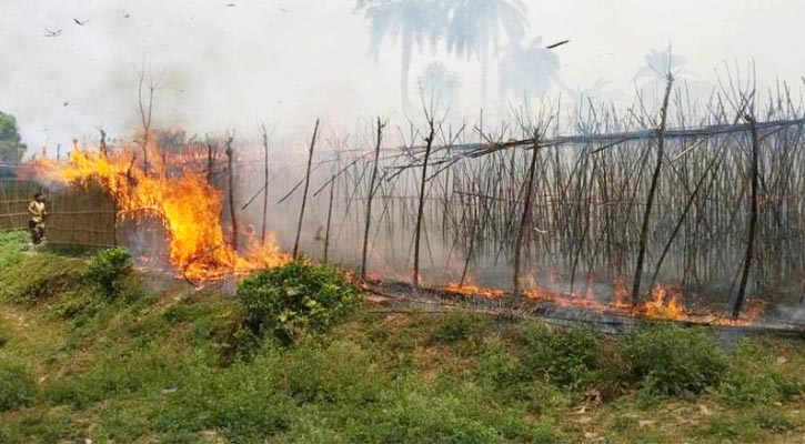 ২৫ বিঘা জমির পানের বরজ পুড়ে ছাই 