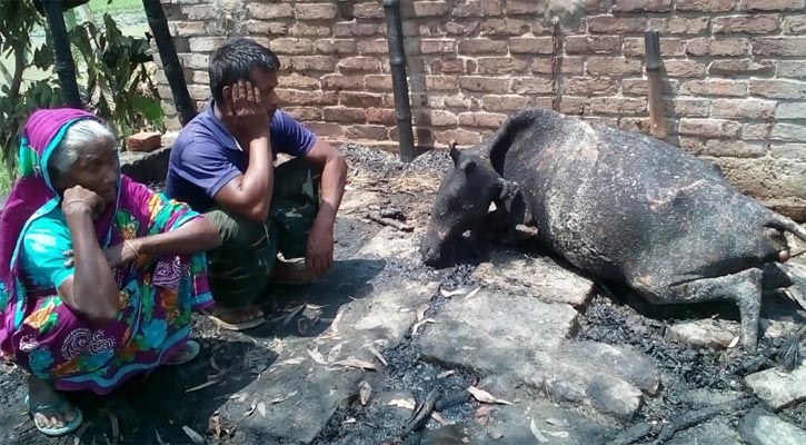 পীরগঞ্জে অগ্নিকান্ডে কৃষকের ঘর পুড়ে ছাই