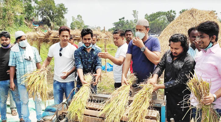 ধান কাটতে কৃষকের পাশে যুবলীগ