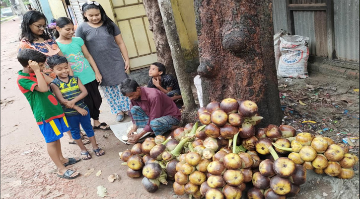 গরমের স্বস্থি তাল শাঁস গৌরীপুরে বিক্রির ধুম 