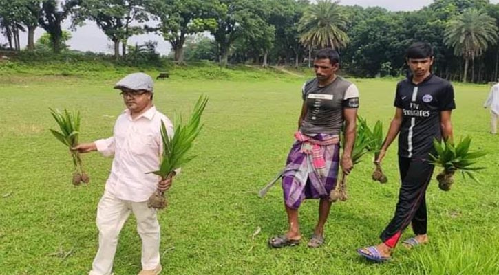 ১শ সুপারী গাছের চারা লাগালেন ফরিদপুরের সেই নুরুল স্যার