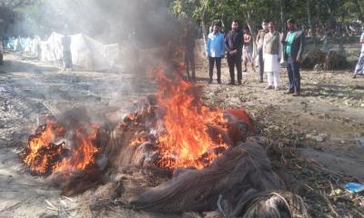 মেঘনায় অবৈধ বেহুন্দি জাল জব্দ