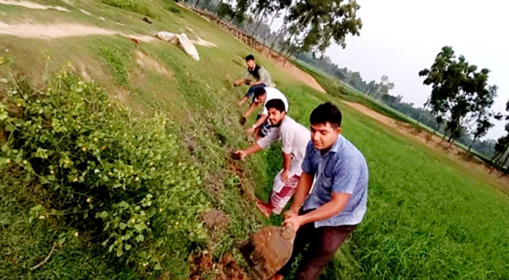 ধামইরহাটে তাল বিজ রোপন