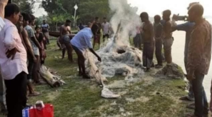 নিষেধাজ্ঞার শেষ দিনে মা ইলিশ রক্ষা অভিযানে জাল জব্দ