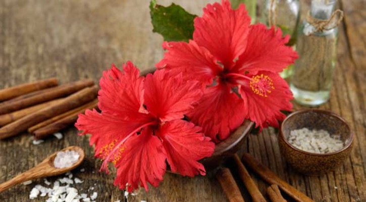 শাইনি চুলের জন্য জবাফুল