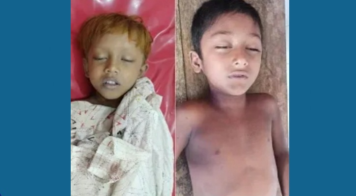 শরণখোলায় পানিতে পড়ে ডুবে দুই ভাইয়ের মৃত্যু