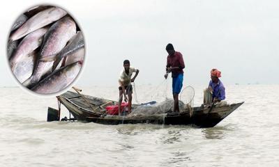 নিষেধাজ্ঞা শেষে আজ মধ্যরাত থেকে শুরু ইলিশ ধরা