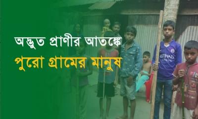 অদ্ভুত প্রাণীর আতঙ্কে তালুকজামিরা গ্রামের মানুষ