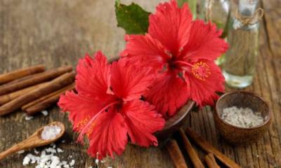 শাইনি চুলের জন্য জবাফুল